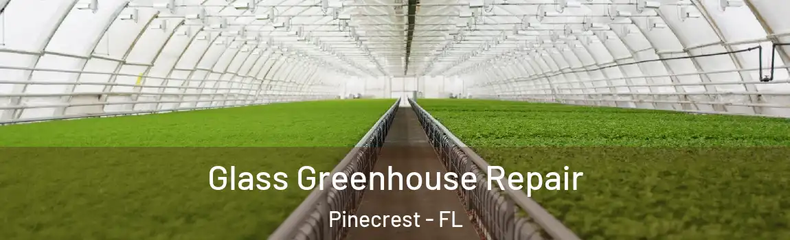 Glass Greenhouse Repair Pinecrest - FL
