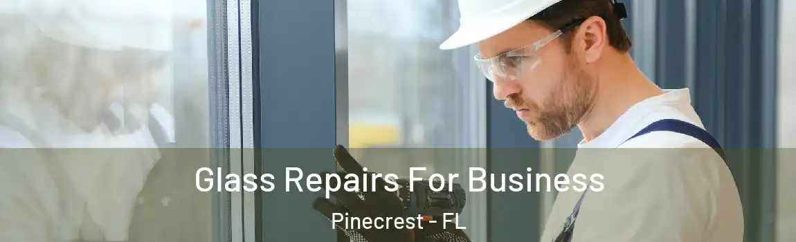 Glass Repairs For Business Pinecrest - FL
